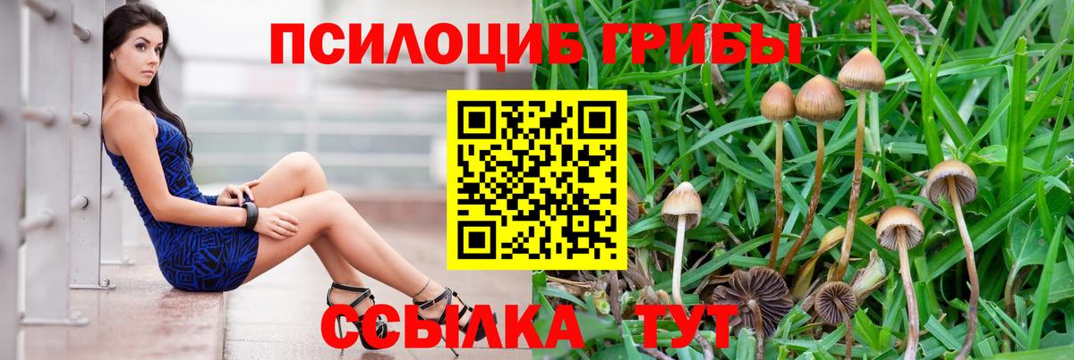Светлоград  Галлюциногенные грибы Psilocybe  Вход с VPN 
