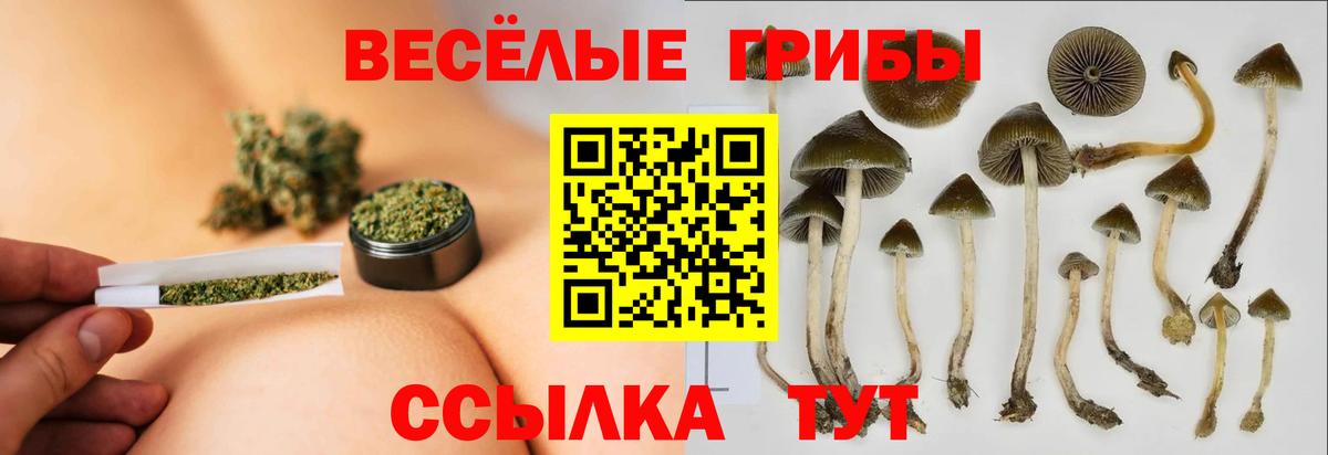 Галлюциногенные грибы MAGIC MUSHROOMS Светлоград